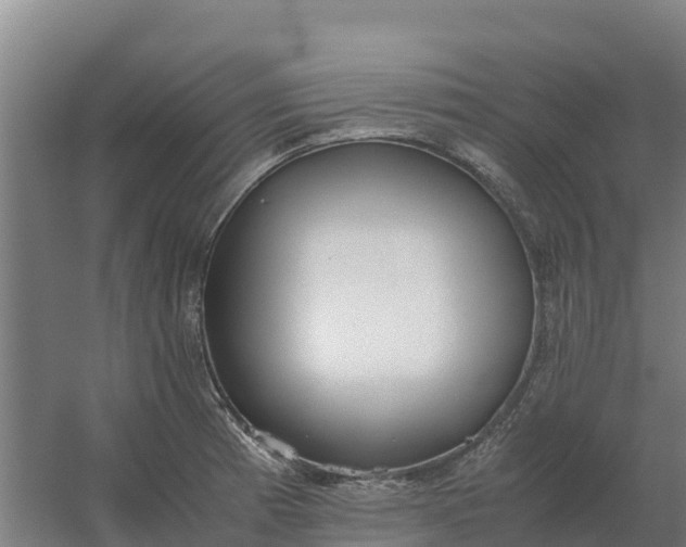 X0000059831185200511041738