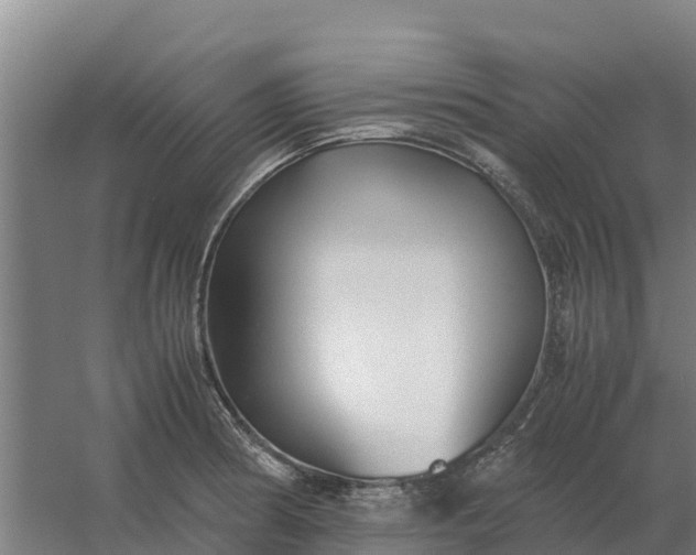 X0000059831186200511041738