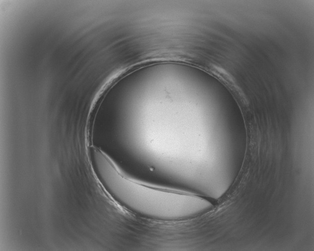 X0000059831188200511041738