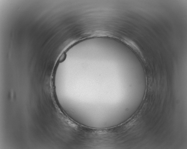 X0000059831190200511041738