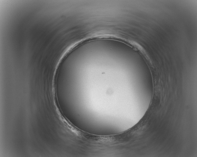 X0000059831191200511041738