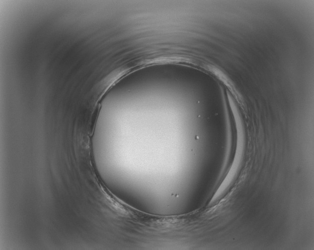 X0000059831193200511041737