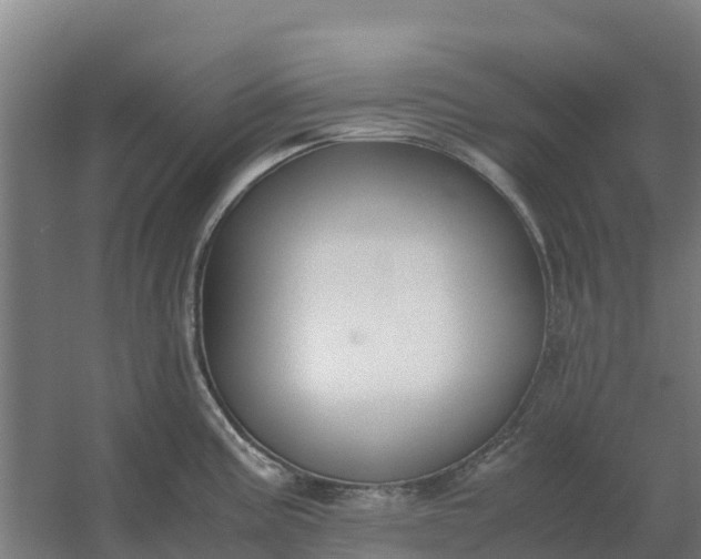 X0000059831195200511041737