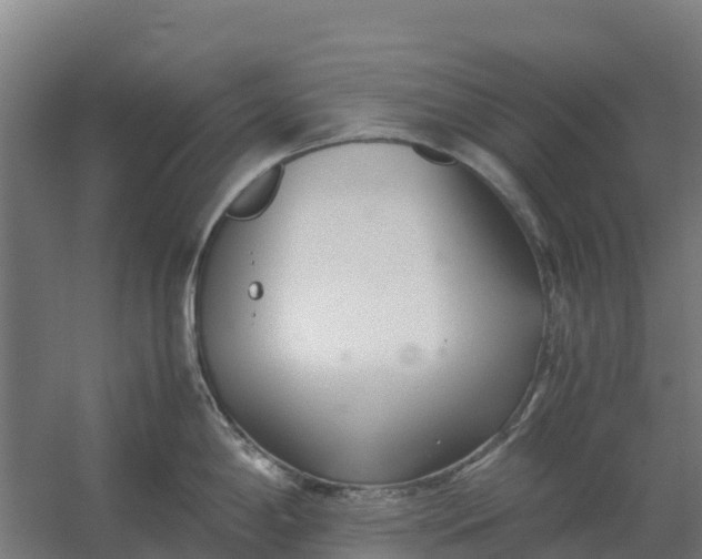 X0000059831198200511041737