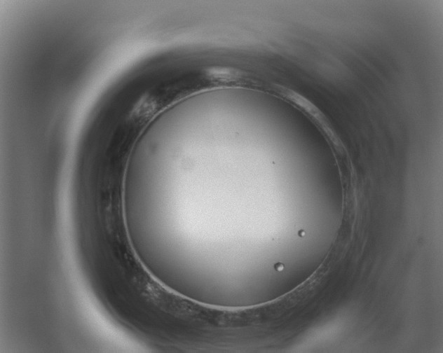 X0000059831199200511041737