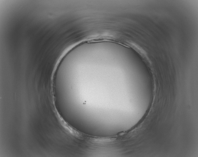 X0000059831200200511041737