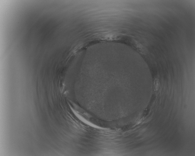 X0000059831202200511041737