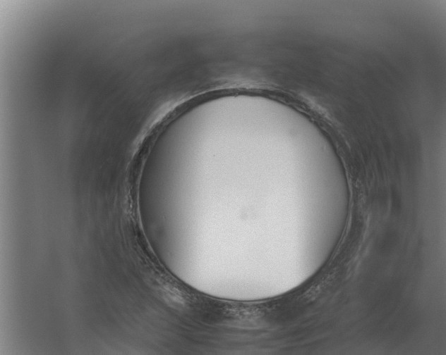 X0000059831215200511041737