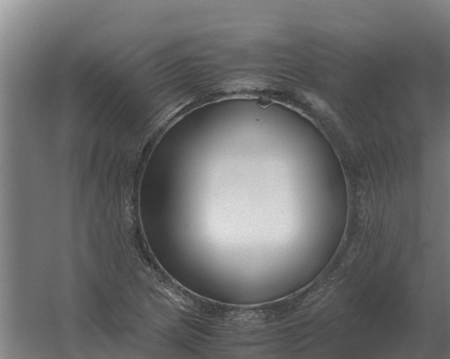 X0000059831217200511041737