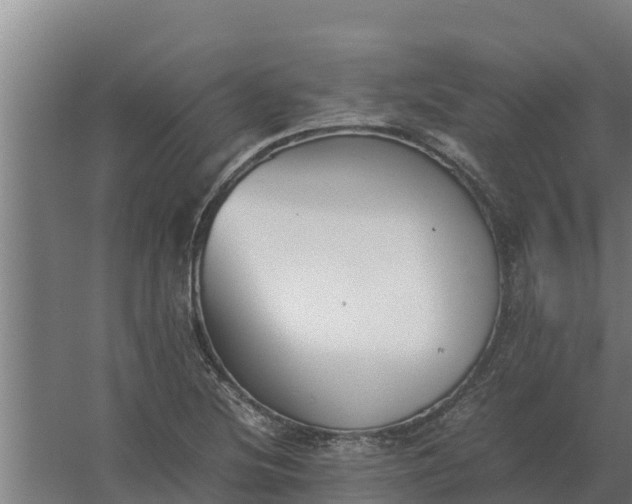 X0000059831220200511041737