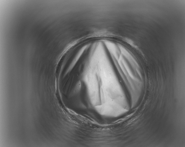 X0000059831221200511041737