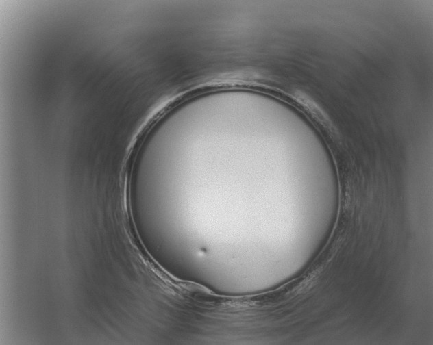 X0000059831224200511041737