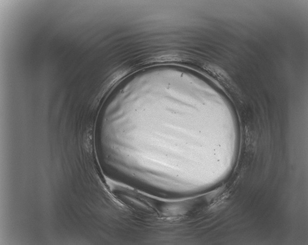 X0000059831225200511041737