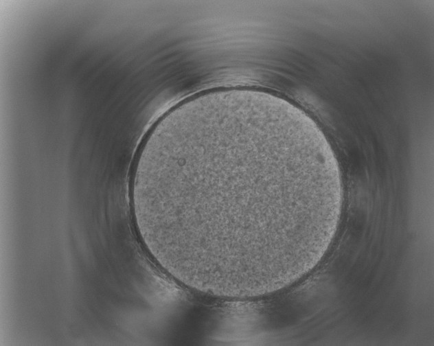 X0000059831226200511041737