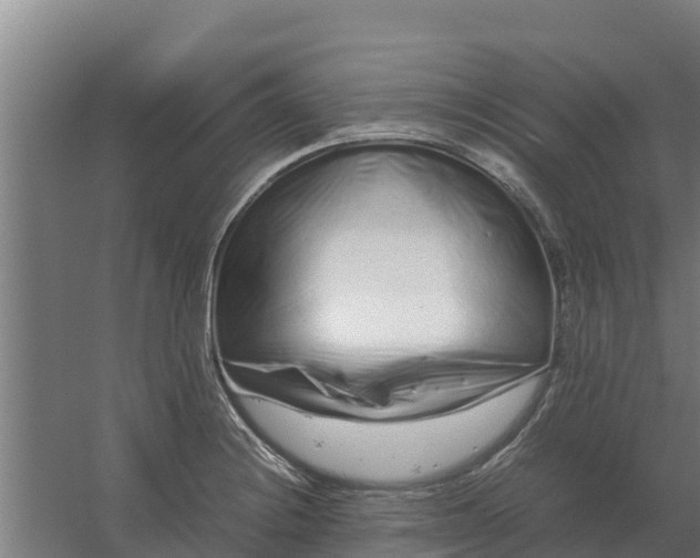 X0000059831228200511041737