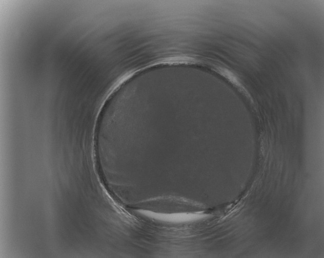 X0000059831229200511041737