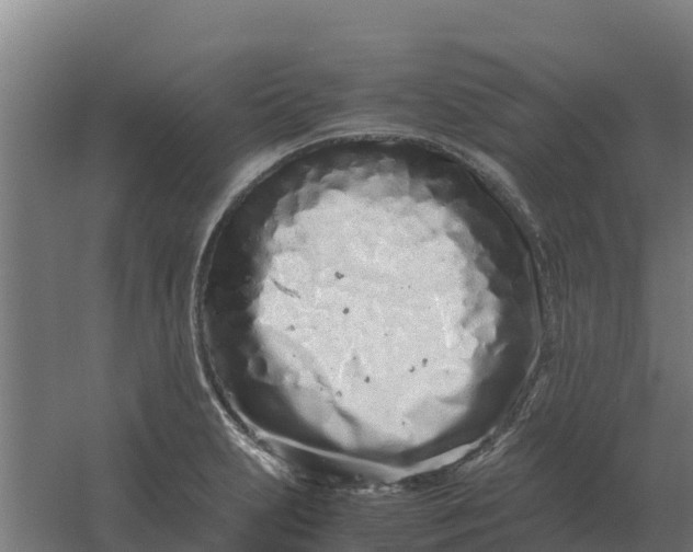 X0000059831231200511041737