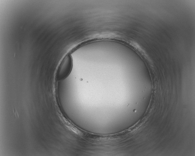 X0000059831232200511041737