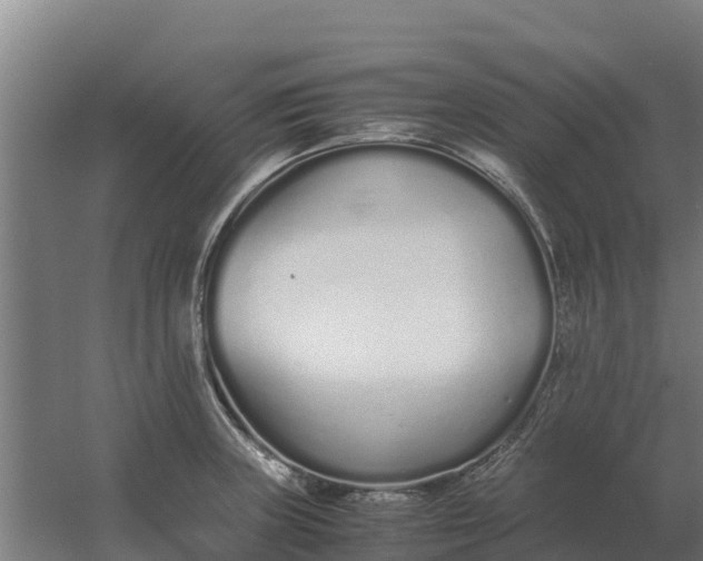 X0000059831235200511041737