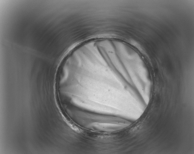 X0000059831237200511041737