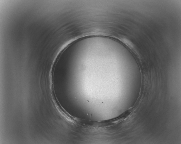 X0000059831238200511041737