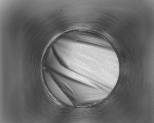 X0000059831240200511041737