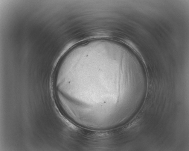 X0000059831243200511041737