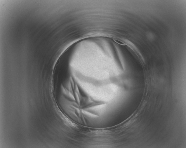 X0000059831244200511041737