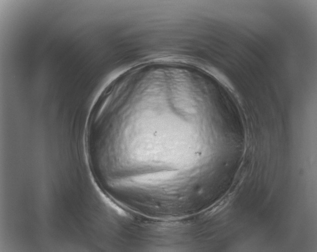 X0000059831247200511041737