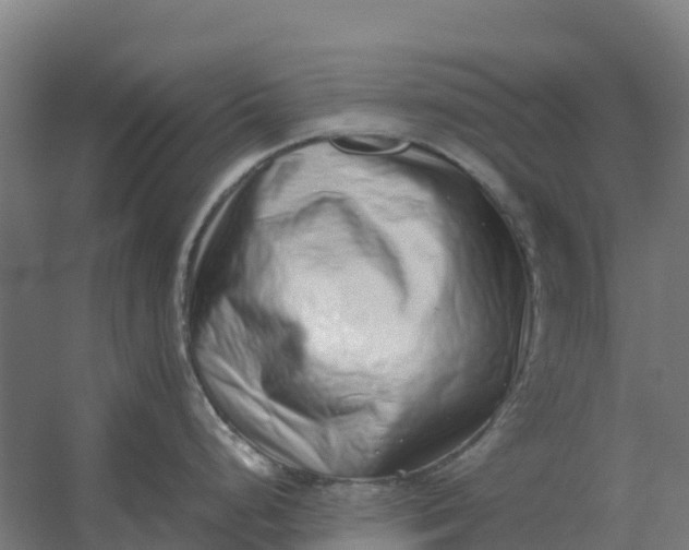 X0000059831248200511041737