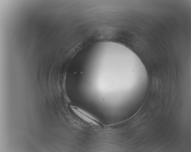 X0000059831250200511041737