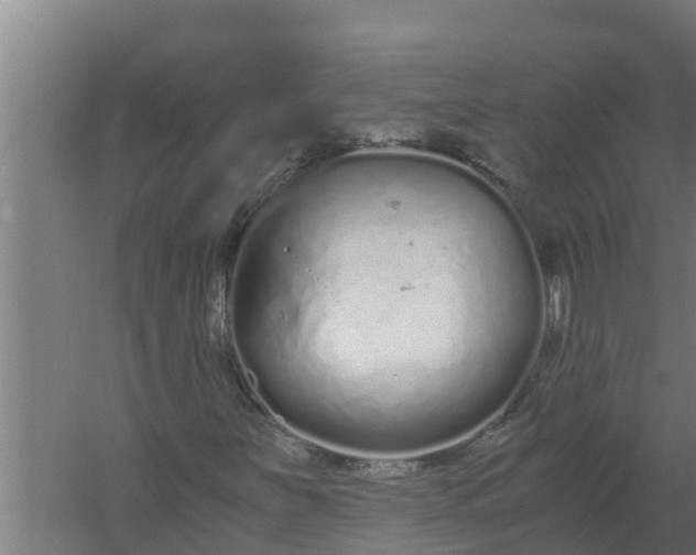 X0000059831251200511041737