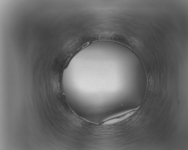 X0000059831252200511041736