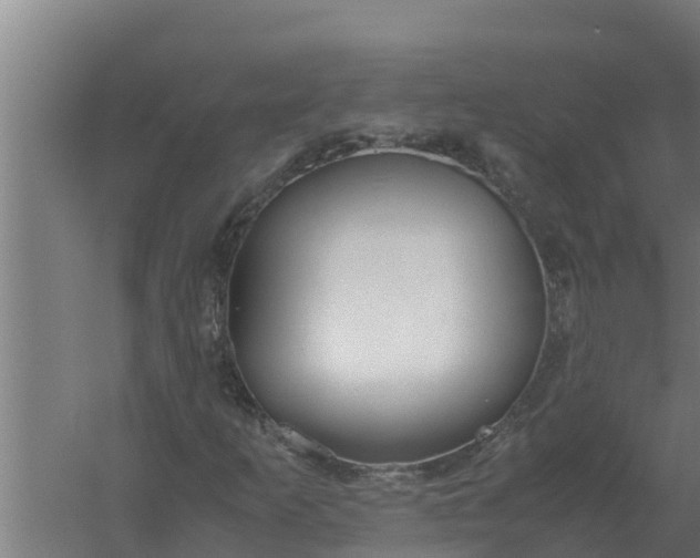 X0000059831253200511041736