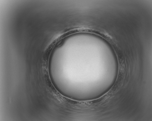 X0000059831255200511041736