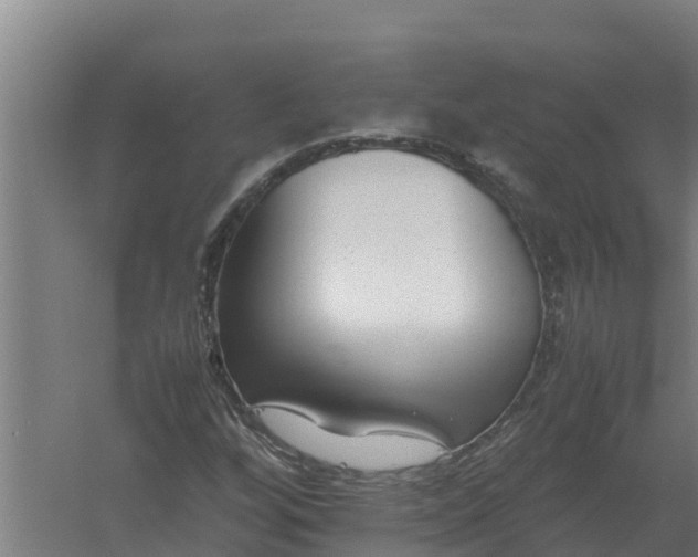 X0000059831256200511041736