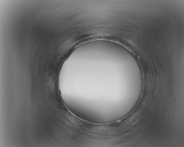 X0000059831257200511041736