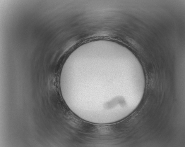 X0000059831258200511041736