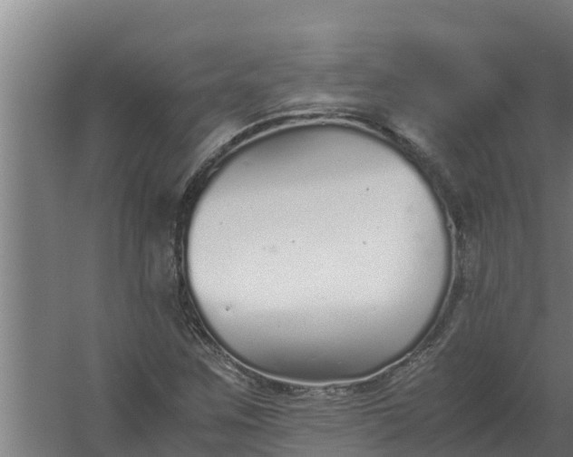 X0000059831259200511041736