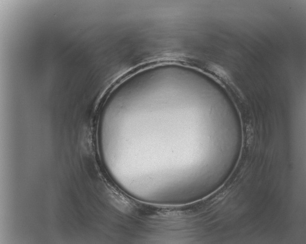 X0000059831260200511041736