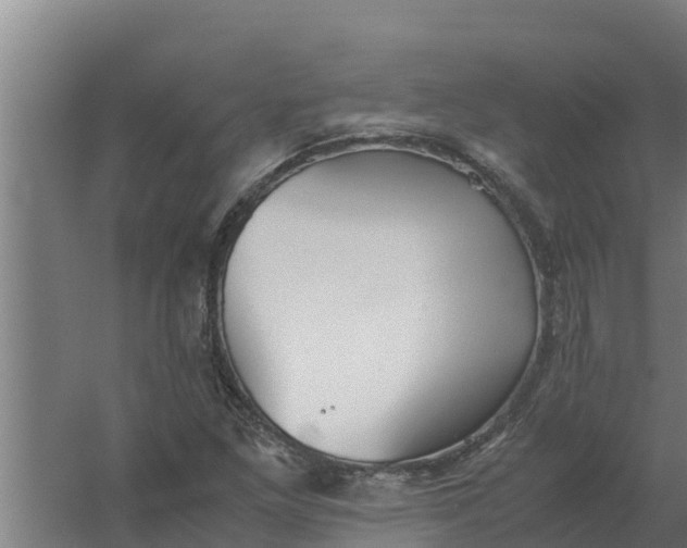 X0000059831261200511041736