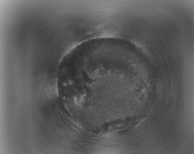 X0000059831262200511041736