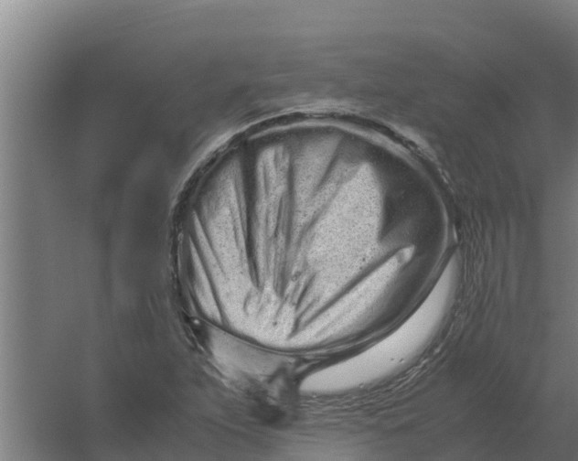 X0000059831263200511041736