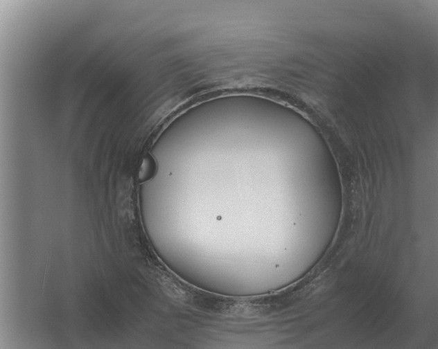 X0000059831265200511041736