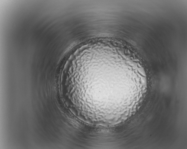 X0000059831266200511041736