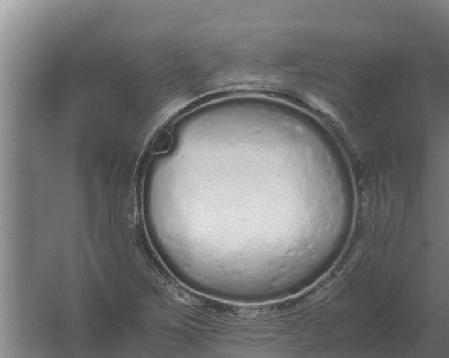 X0000059831267200511041736