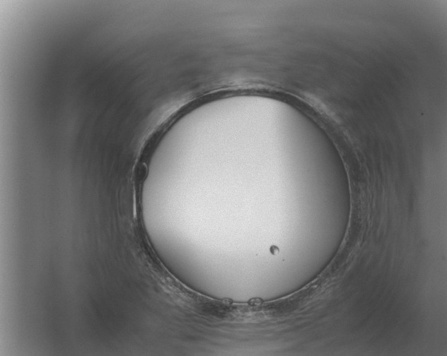 X0000059831269200511041736