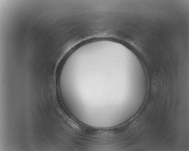 X0000059831270200511041736