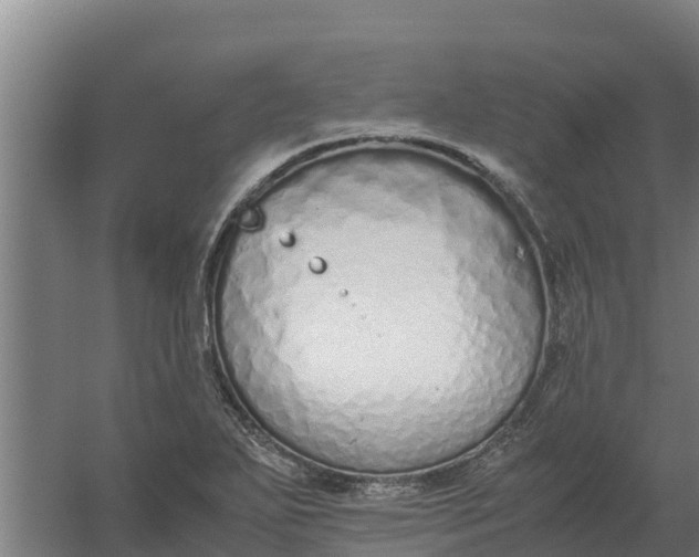 X0000059831271200511041736