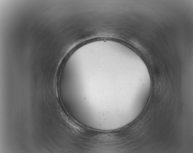 X0000059831272200511041736